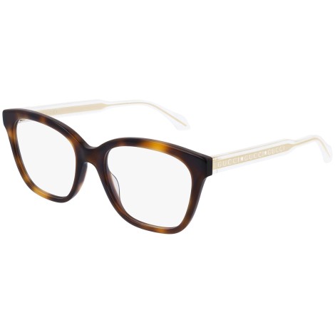 GG0566O 002 shiny tortoise