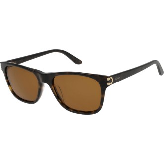 CT0001S 002 dark havana