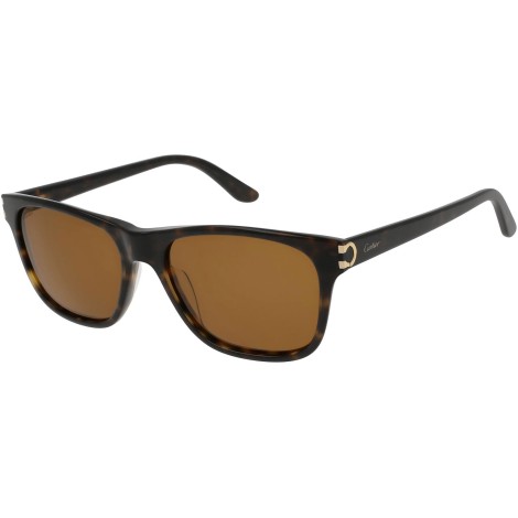 CT0001S 002 dark havana
