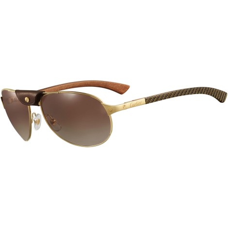 CT0088S 001 matte gold