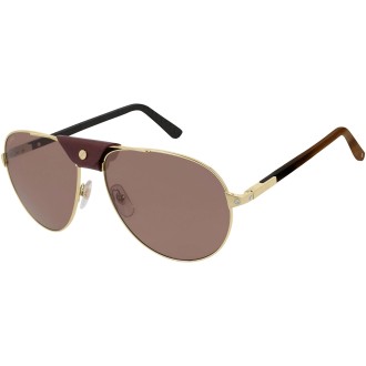 CT0096S 004 burgundy gold