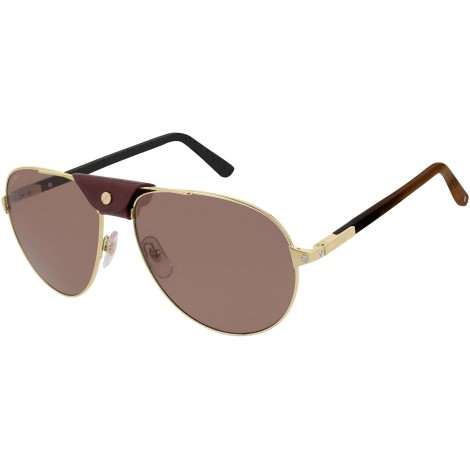 CT0096S 004 burgundy gold