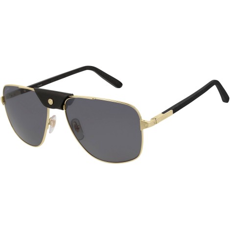 CT0097S 001 black gold