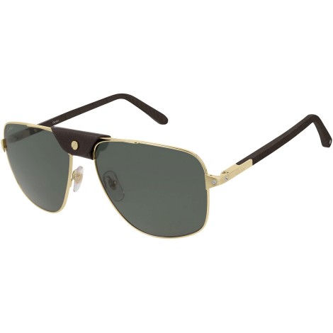 CT0097S 002 brown gold