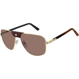 CT0097S 003 burgundy gold