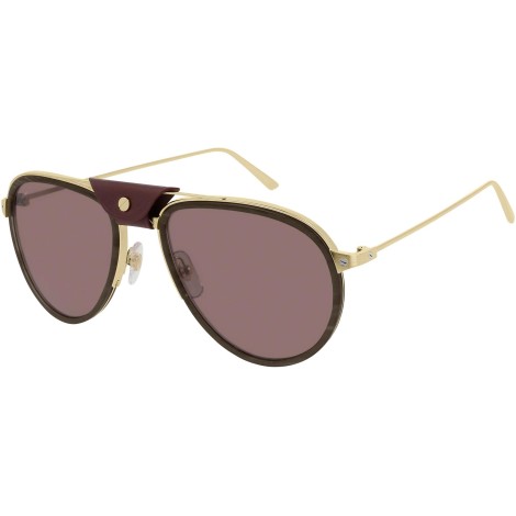 CT0098S 003 burgundy gold