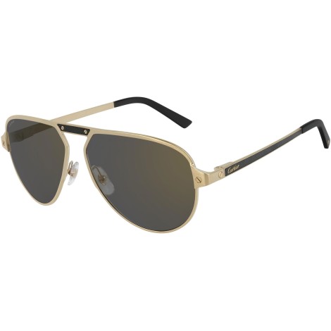 CT0101S 005 black gold