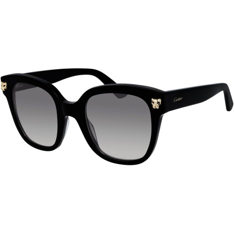 CT0143S 001 shiny black