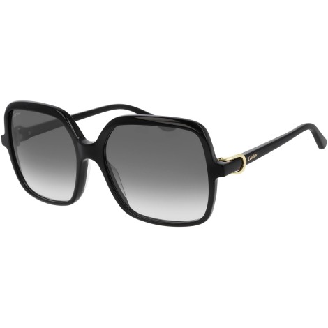 CT0219S 001 shiny black