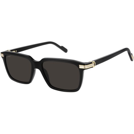 CT0220S 001 shiny black