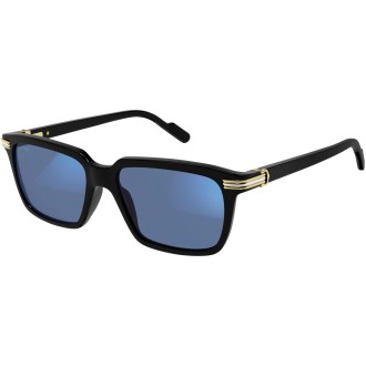 CT0220S 006 shiny black