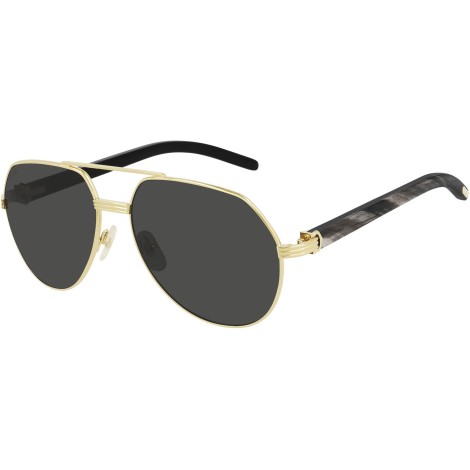 CT0272S 001 shiny gold