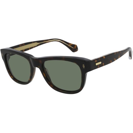 CT0277S 002 dark havana