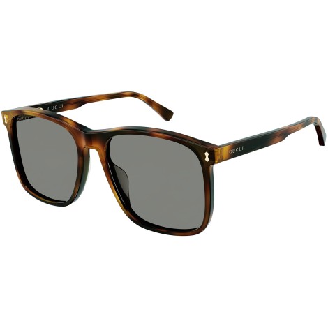 GG1041S 002 dark tortoise