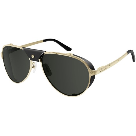 CT0296S 001 shiny gold