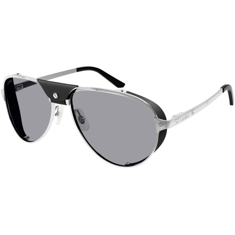 CT0296S 002 shiny silver