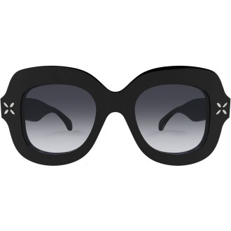 AA0054S 001 shiny black