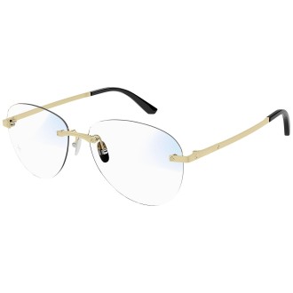 CT0254S 001 matte gold