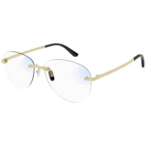 CT0254S 001 matte gold