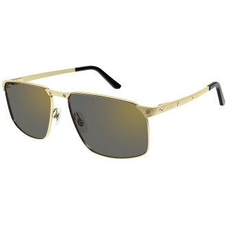 CT0322S 003 gold