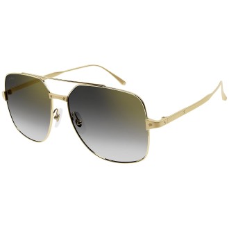 CT0329S 001 shiny gold
