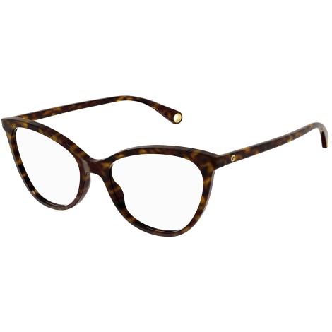 GG1079O 003 tortoise