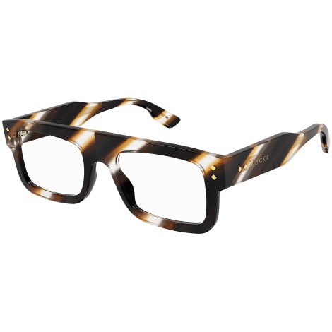 GG1085O 002 brown tortoise
