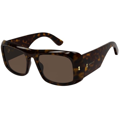 GG1080S 002 shiny tortoise