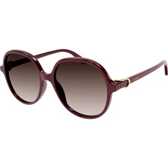 CT0350S 003 shiny burgundy