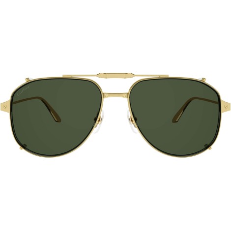 CT0352S 001 gold green