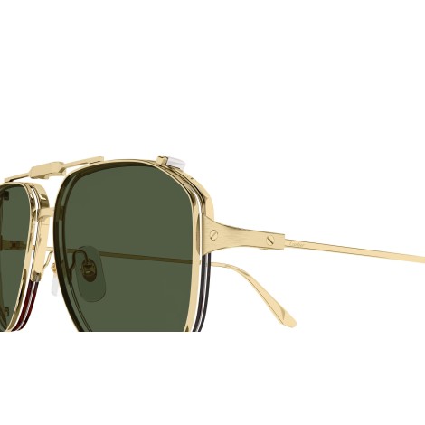 CT0352S 001 gold green