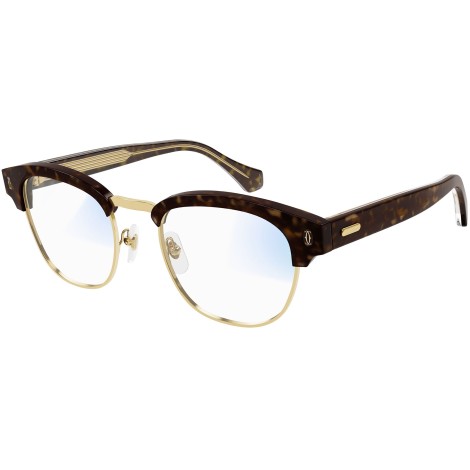 CT0366S 003 havana blue