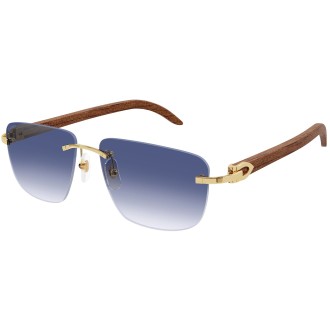 CT0040RS 001 gold blue