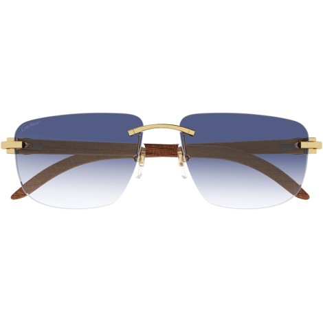 CT0040RS 001 gold blue