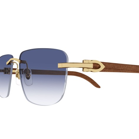 CT0040RS 001 gold blue