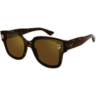 CT0357S 002 havana brown