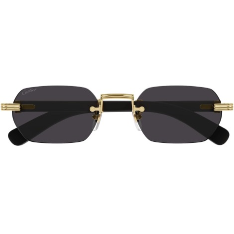 CT0362S 001 gold grey