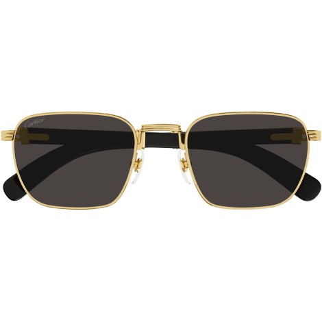 CT0363S 001 gold grey
