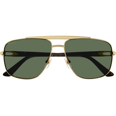 CT0365S gold havana green