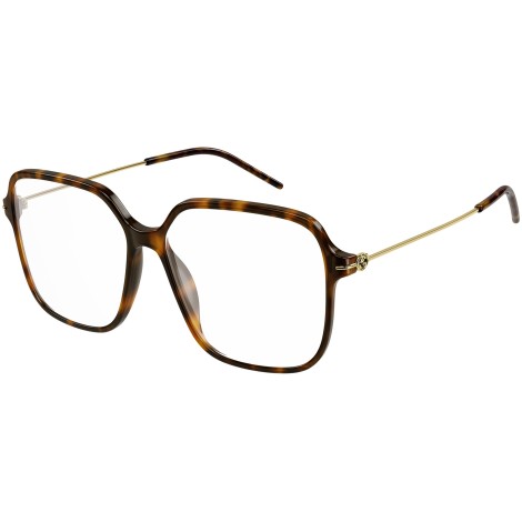 GG1271O 002 shiny tortoise