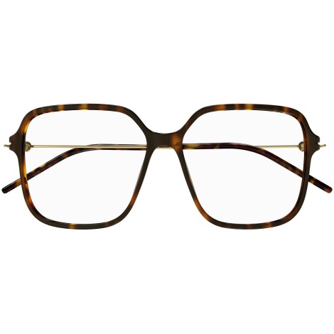 GG1271O 002 shiny tortoise