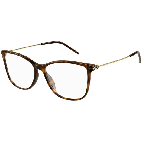 GG1272O 002 shiny tortoise