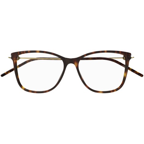 GG1272O 002 shiny tortoise