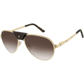 CT0034S 011 brown gold