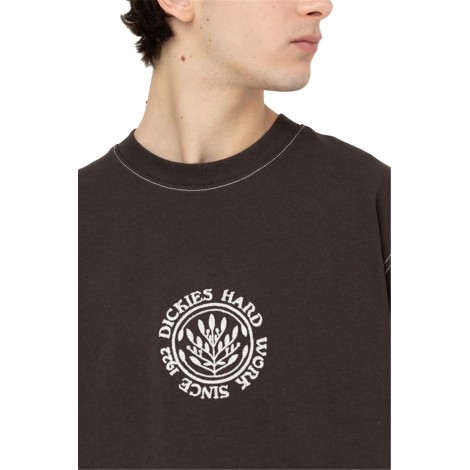 Dickies T-shirt Uomo Dark Brown
