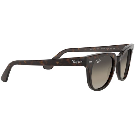 Meteor Classic RB2168 tortoise
