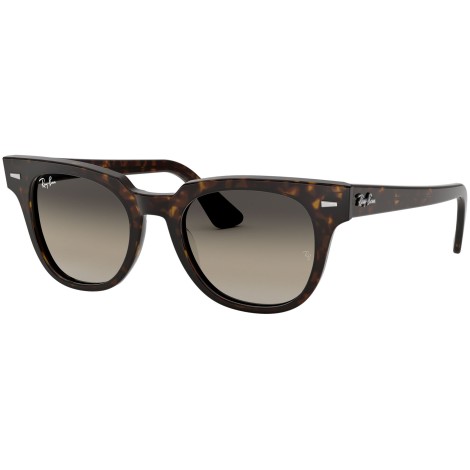 Meteor Classic RB2168 tortoise