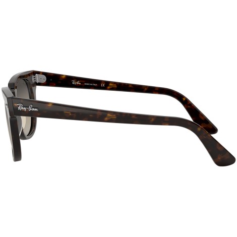 Meteor Classic RB2168 tortoise