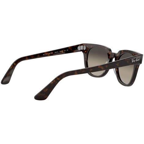 Meteor Classic RB2168 tortoise