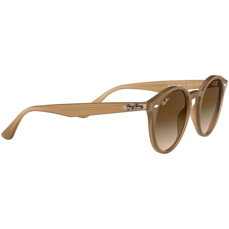 RB2180 turtledove